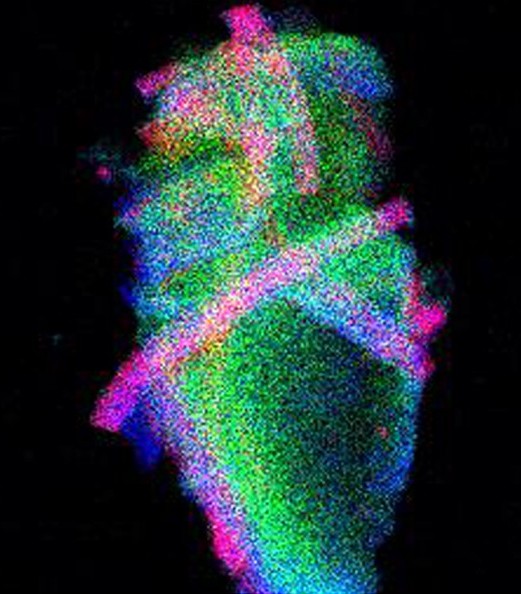 New paper on Heterogeneous catalysis